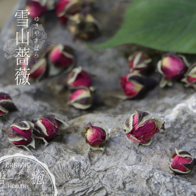 特級 野生種 雪山薔薇 雲南特産品 薬膳茶材料