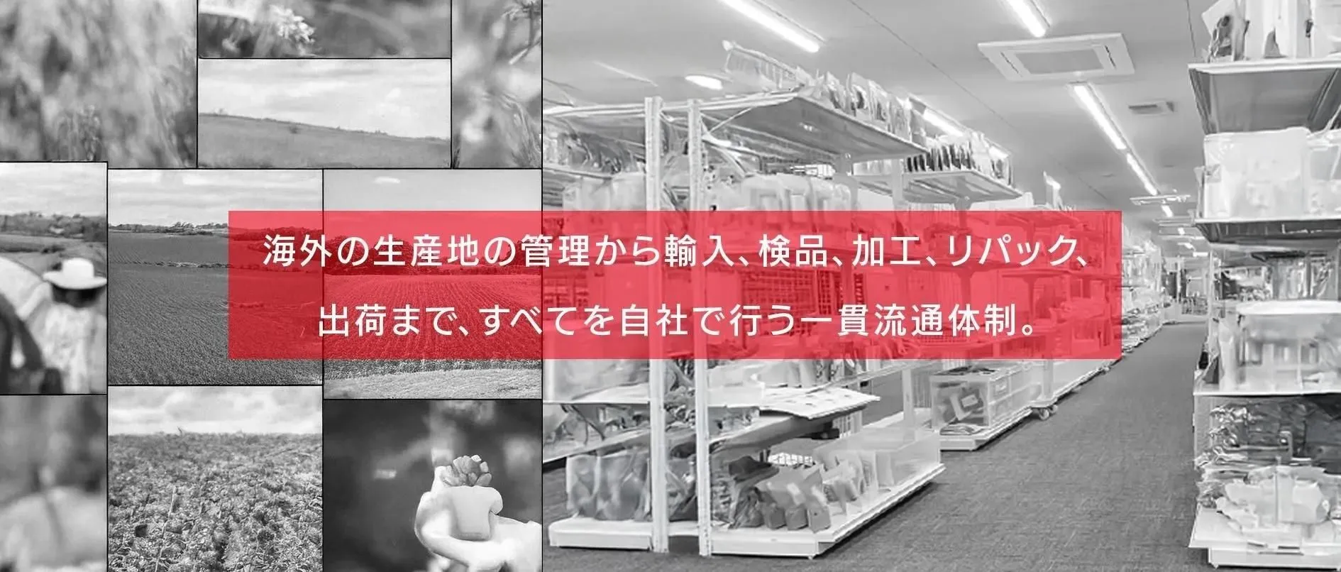 新着情報