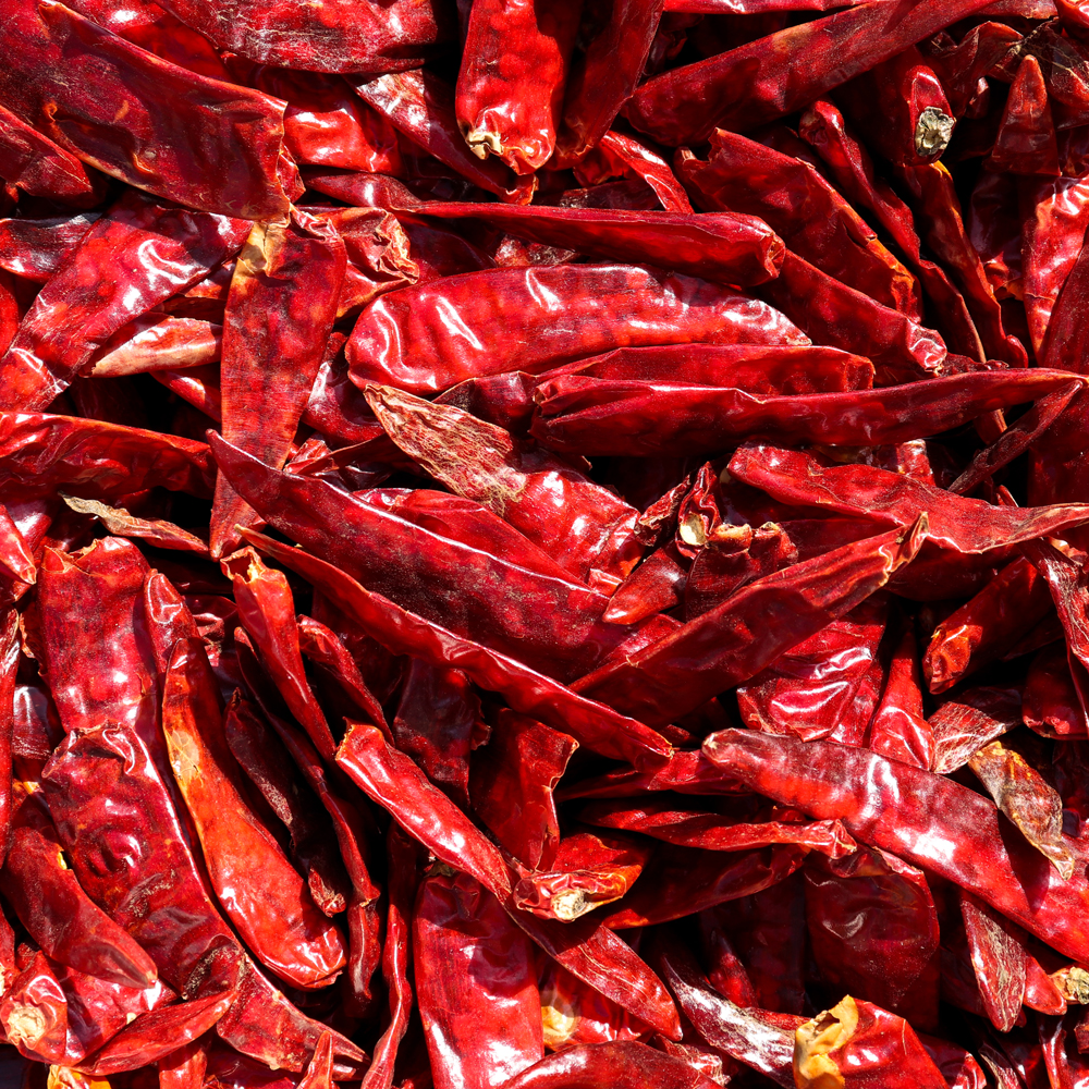 激辛唐辛子 1KG