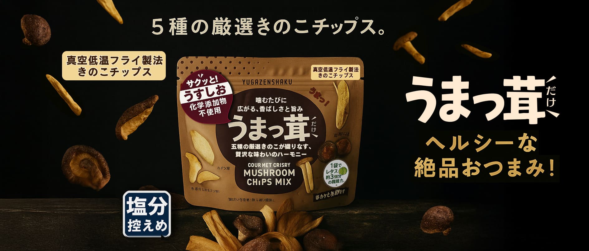 新着情報